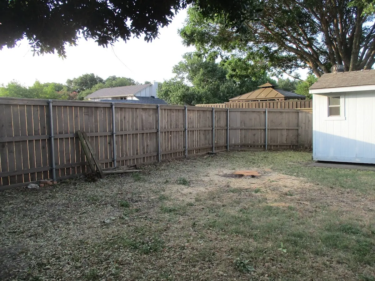 Cleared yard after professional tree removal in Somerville